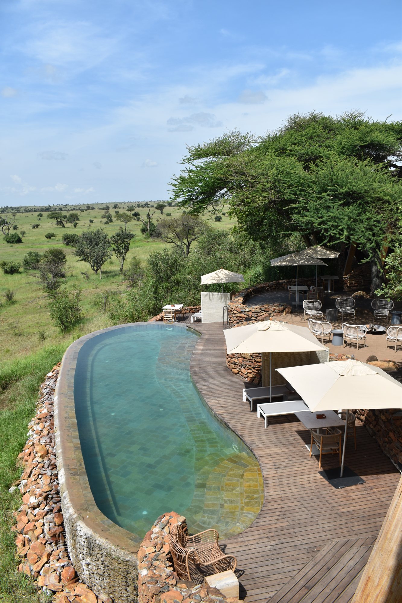 A stone-edged infinity pool overlooking the bush.