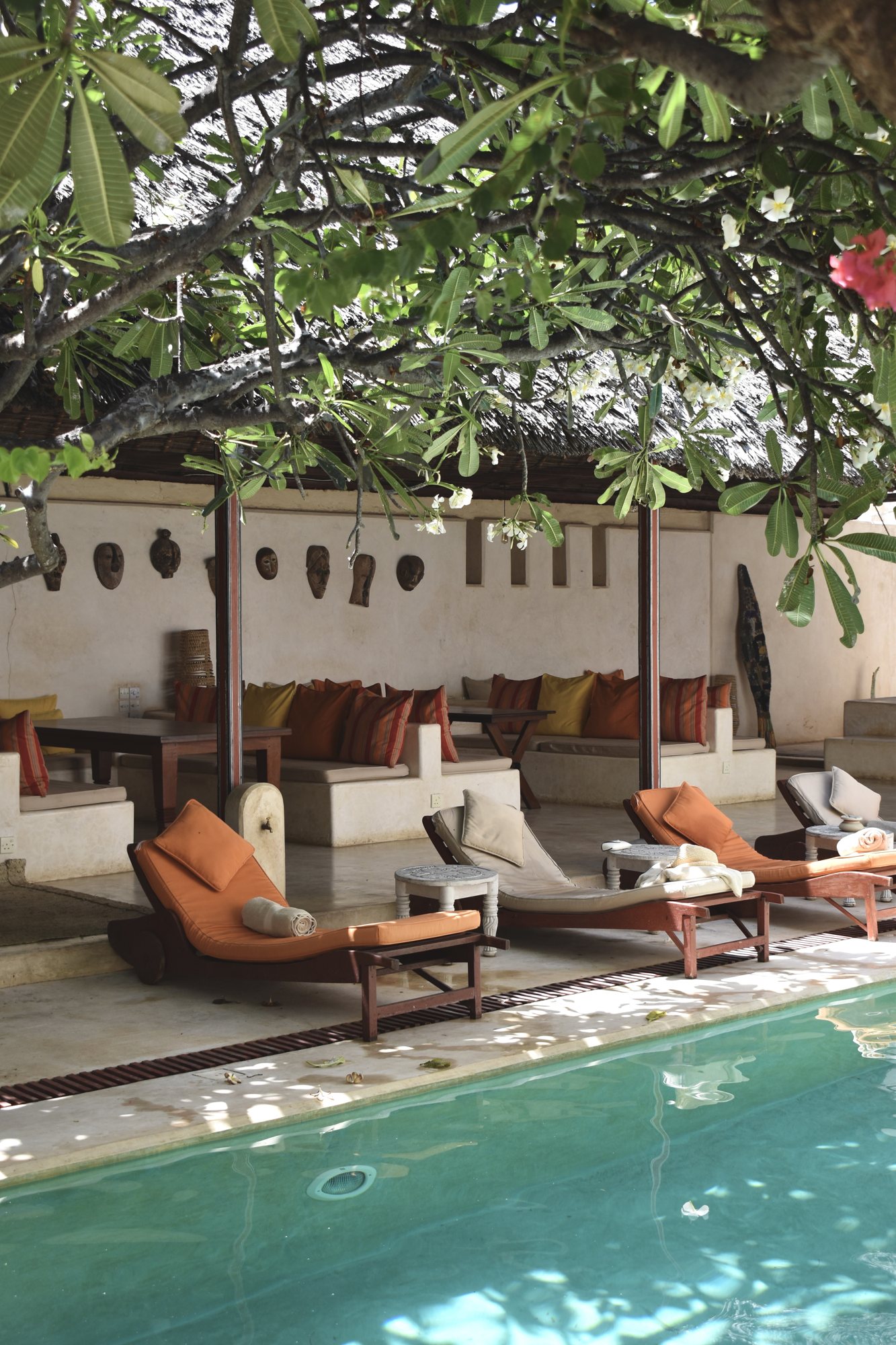A pool shaded by a flowering plumeria tree.