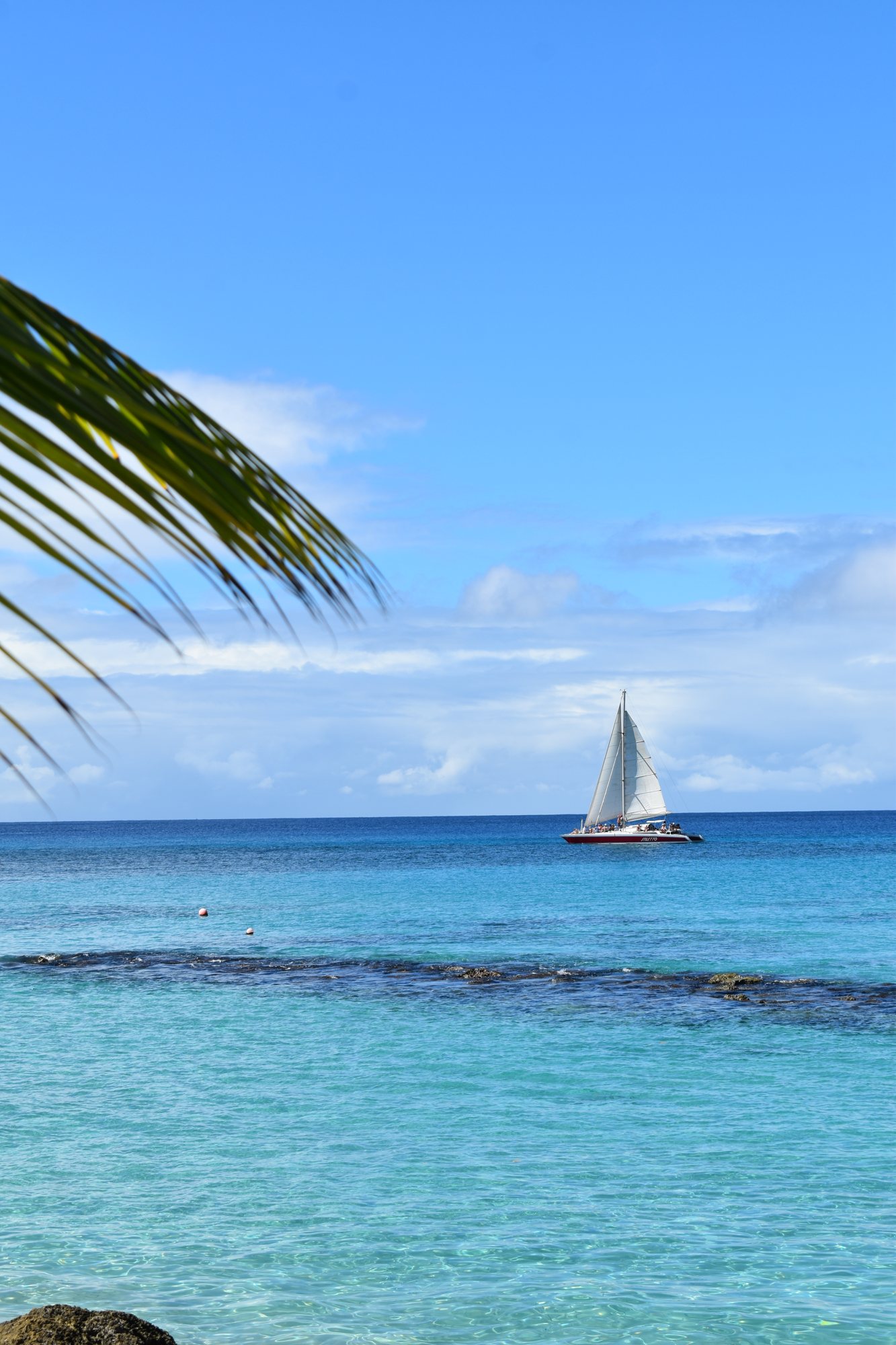A lone sailboat on open blue water.
