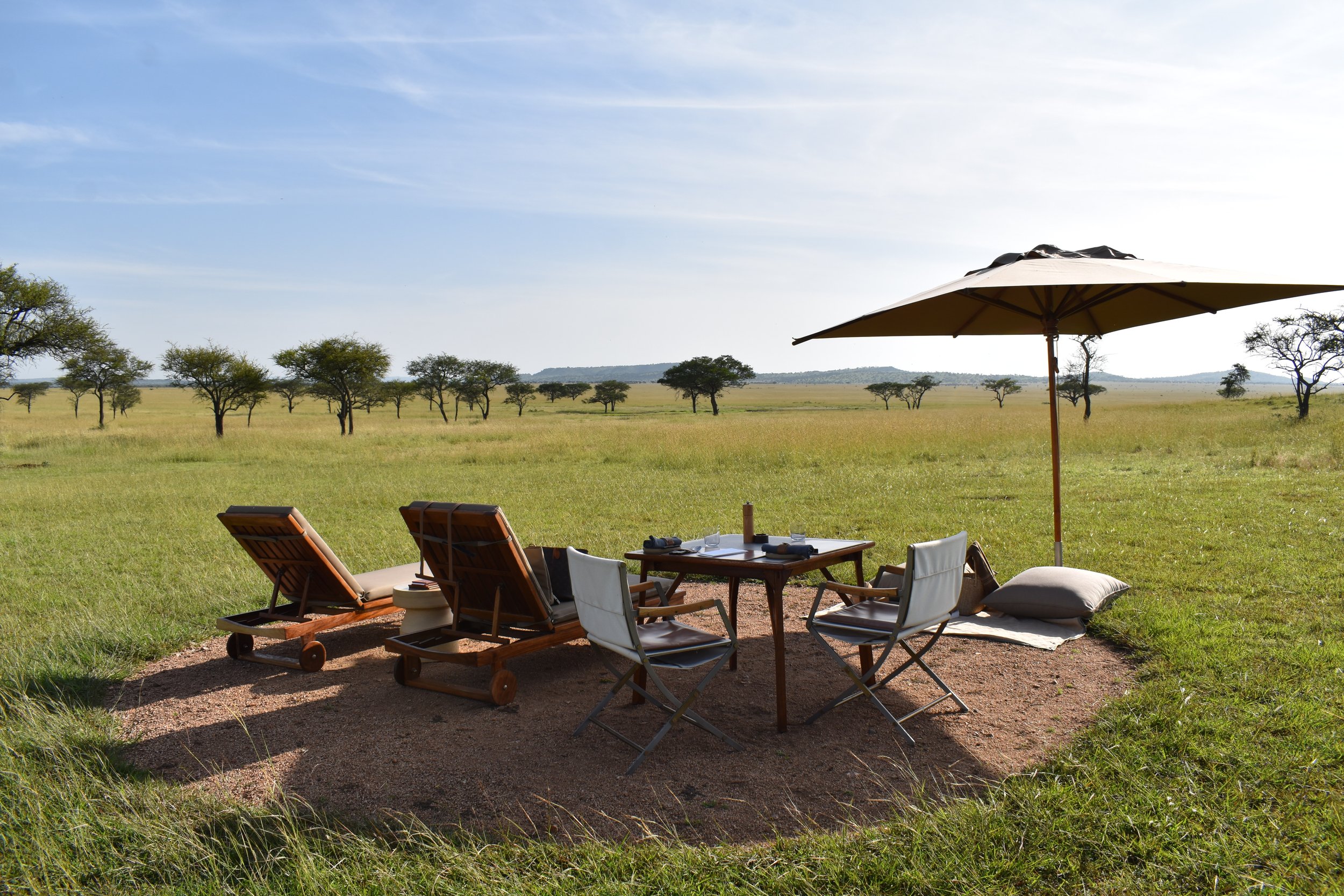 Outdoor dining setup in a safari landscape.