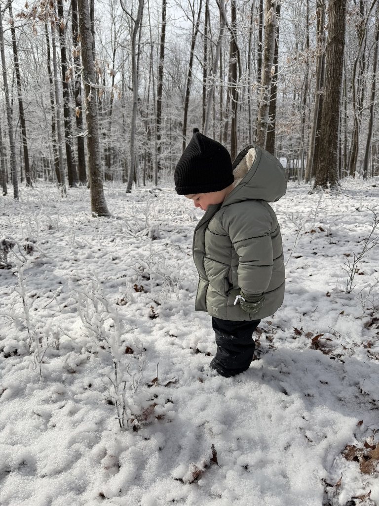 A snowy woods adventure.