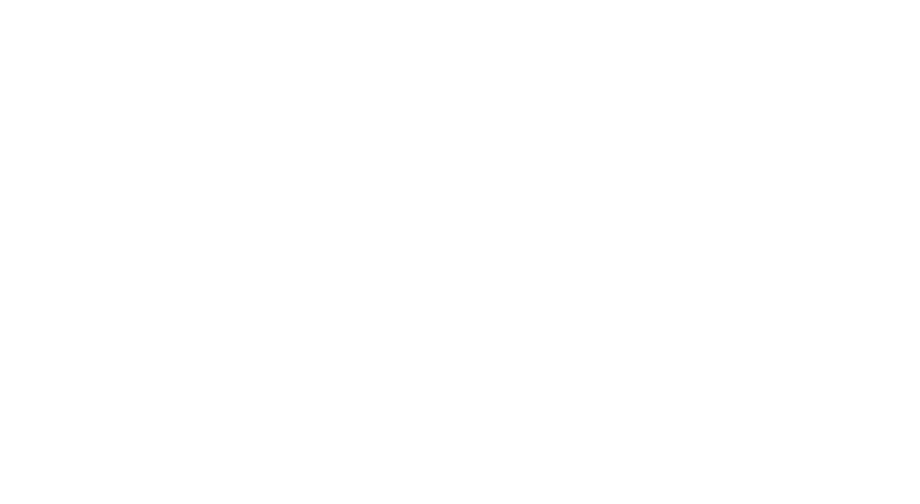 Four Seasons Preferred Partner