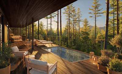 A forest-wrapped pool at Rosewood Calistoga.