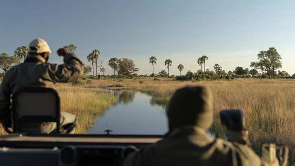 A game drive pausing by a waterhole in Botswana.