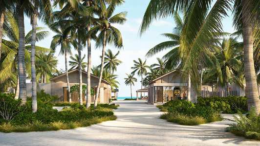 A palm-lined path to the water at Rosewood Ranfaru.