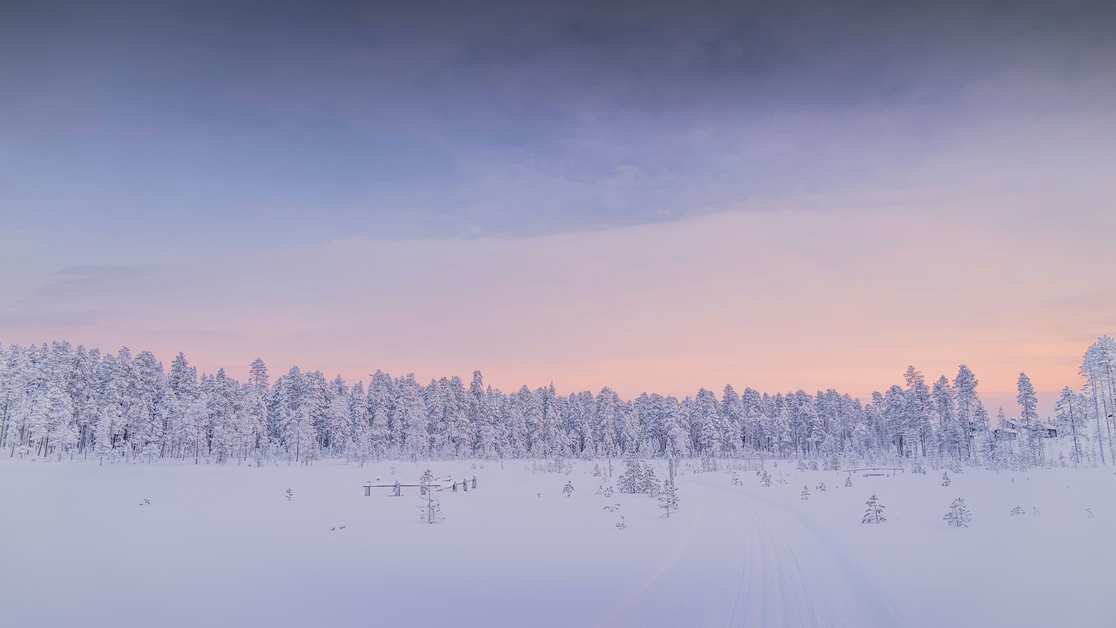A pastel winter sunset over snow-covered forest in Lapland.