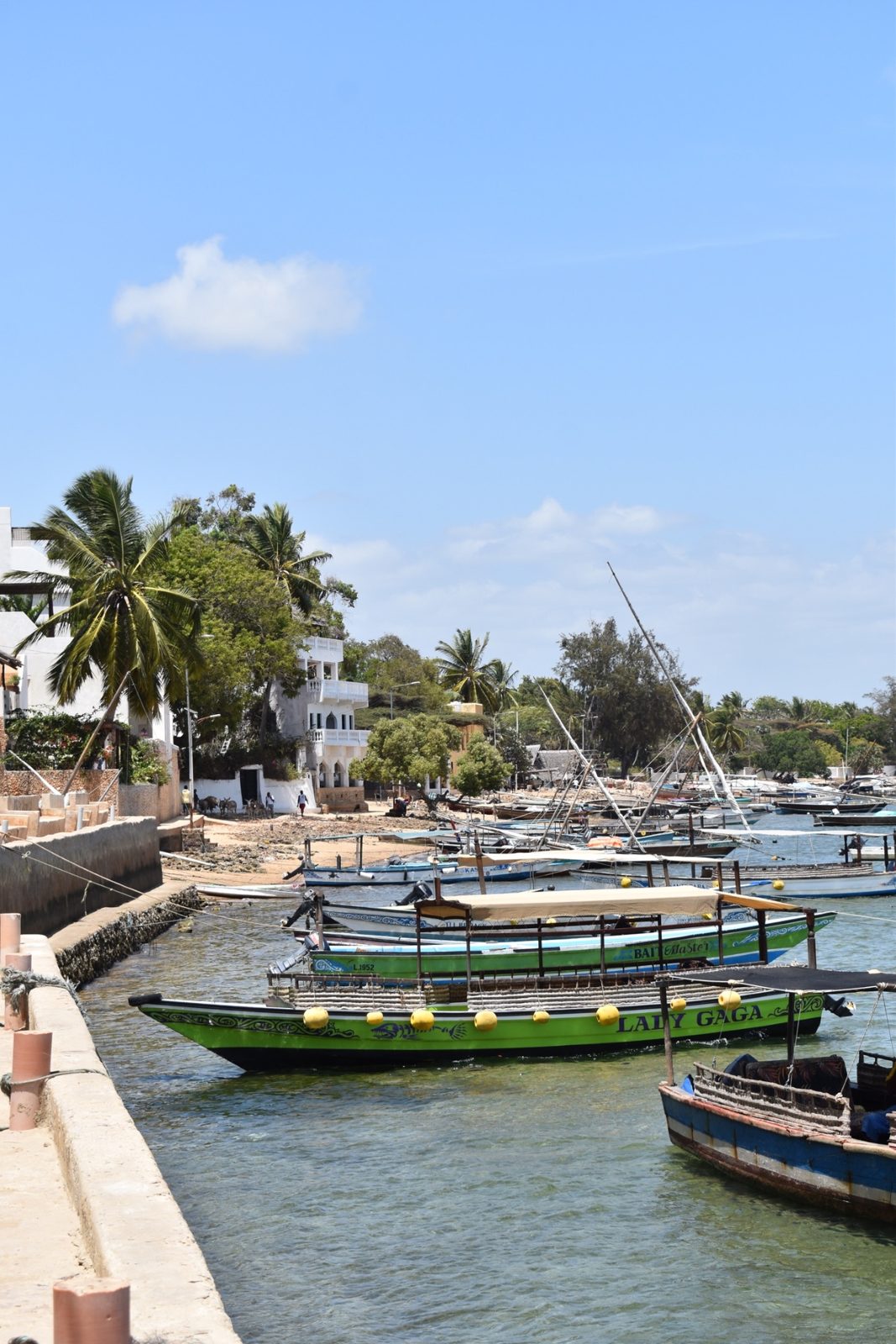 Boats in Lamu harbor.