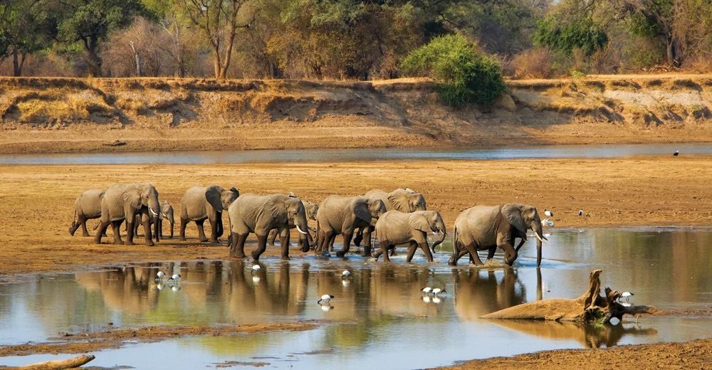 Zambia landscape.